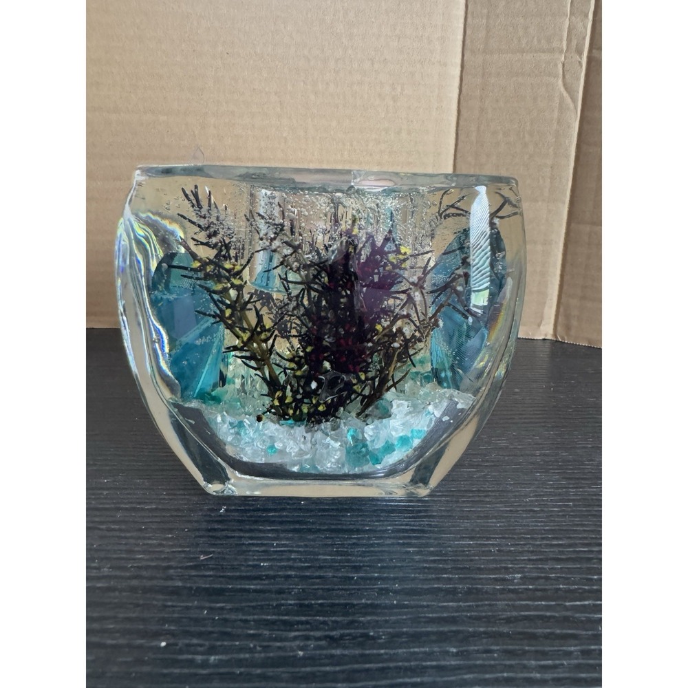 Butterfly Gel Candle  Burns Clear Burns‎ Clean Beautiful - Picture 12 of 13
